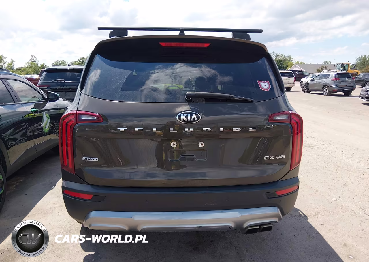 2020 Kia Telluride Ex VIN:5XYP3DHC1LG057561 - 16