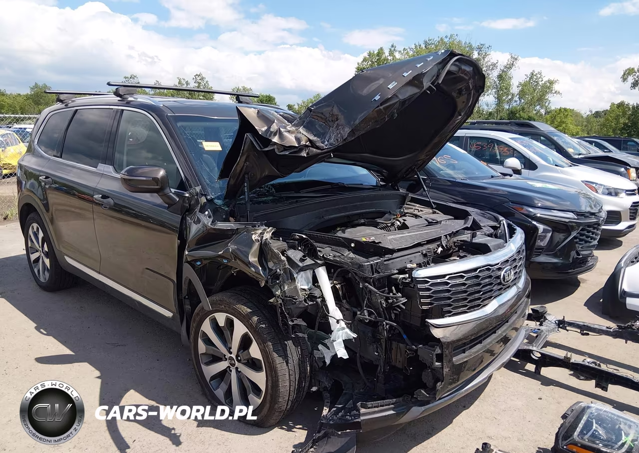 2020 Kia Telluride Ex VIN:5XYP3DHC1LG057561 - 6