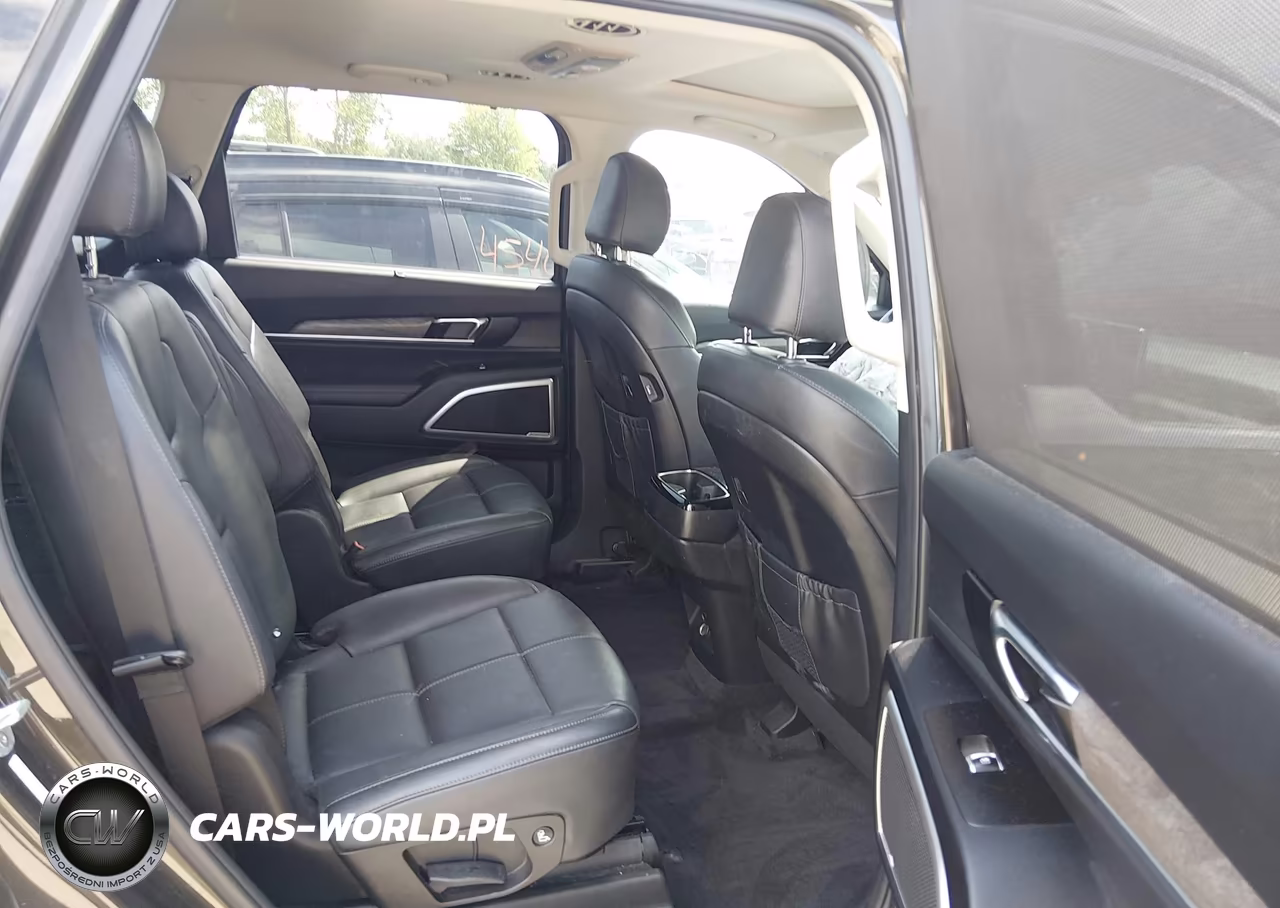 2020 Kia Telluride Ex VIN:5XYP3DHC1LG057561 - 8