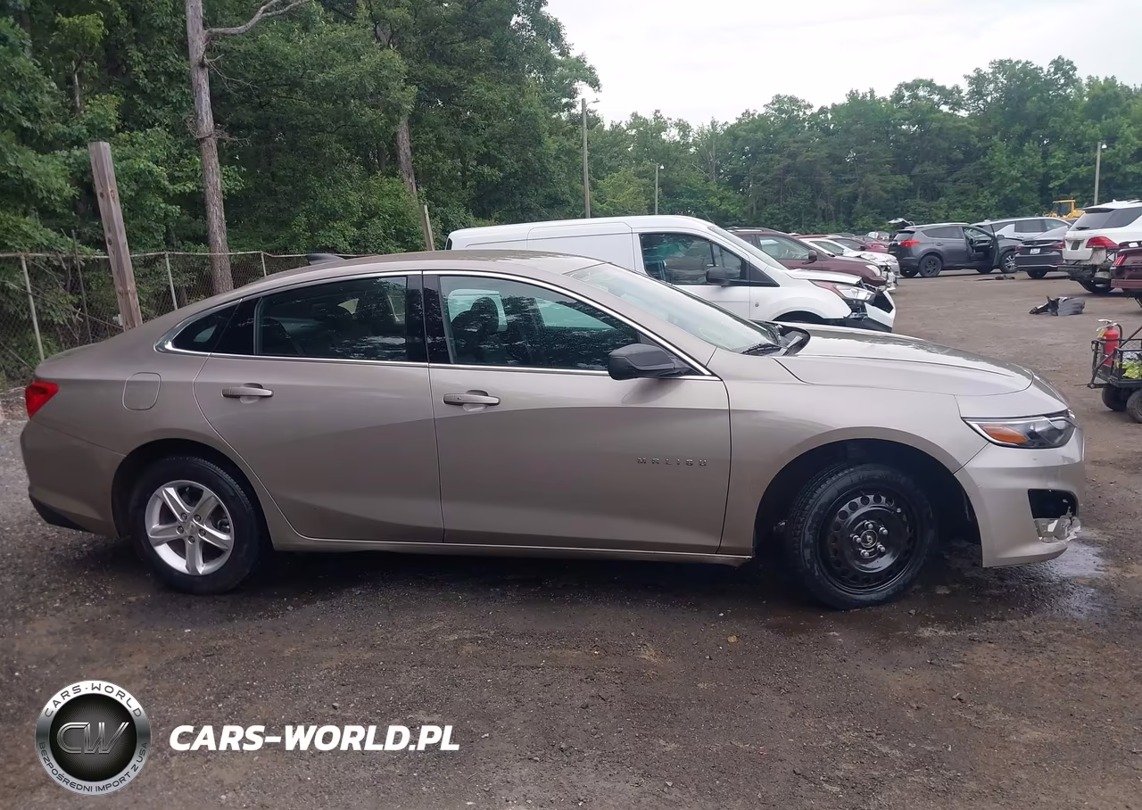 2023 Chevrolet Malibu Fwd Ls VIN:1G1ZB5ST7PF119346 - 13