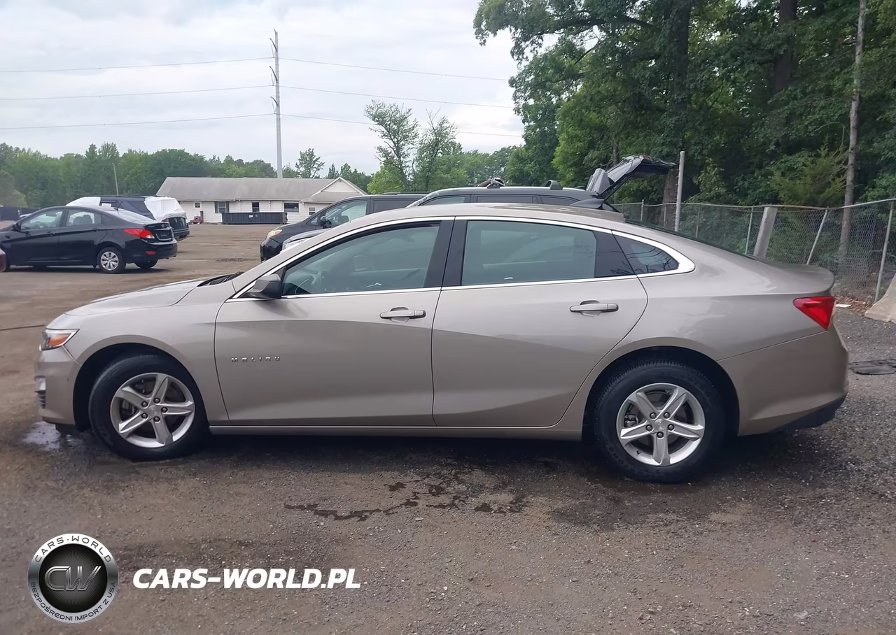 2023 Chevrolet Malibu Fwd Ls VIN:1G1ZB5ST7PF119346 - 14