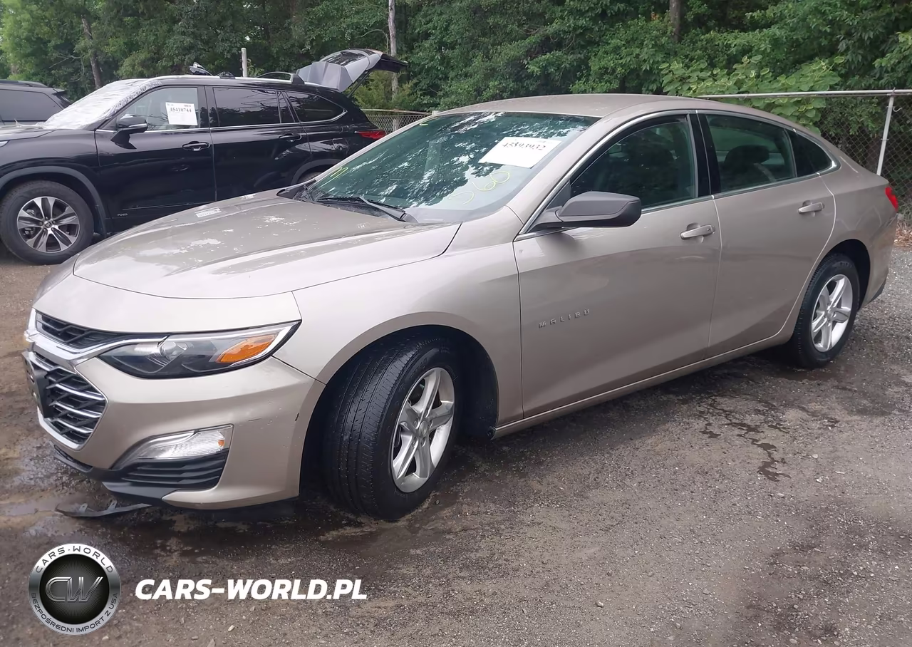 2023 Chevrolet Malibu Fwd Ls VIN:1G1ZB5ST7PF119346 - 2