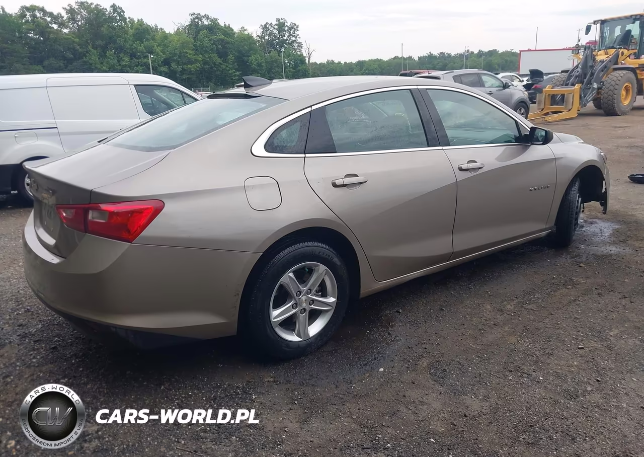 2023 Chevrolet Malibu Fwd Ls VIN:1G1ZB5ST7PF119346 - 4
