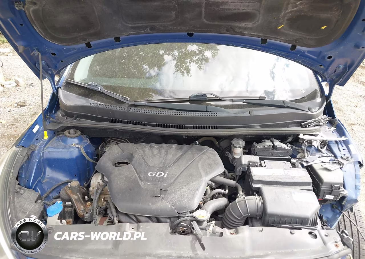 2015 Hyundai Accent Gs VIN:KMHCT5AE2FU228378 - 10
