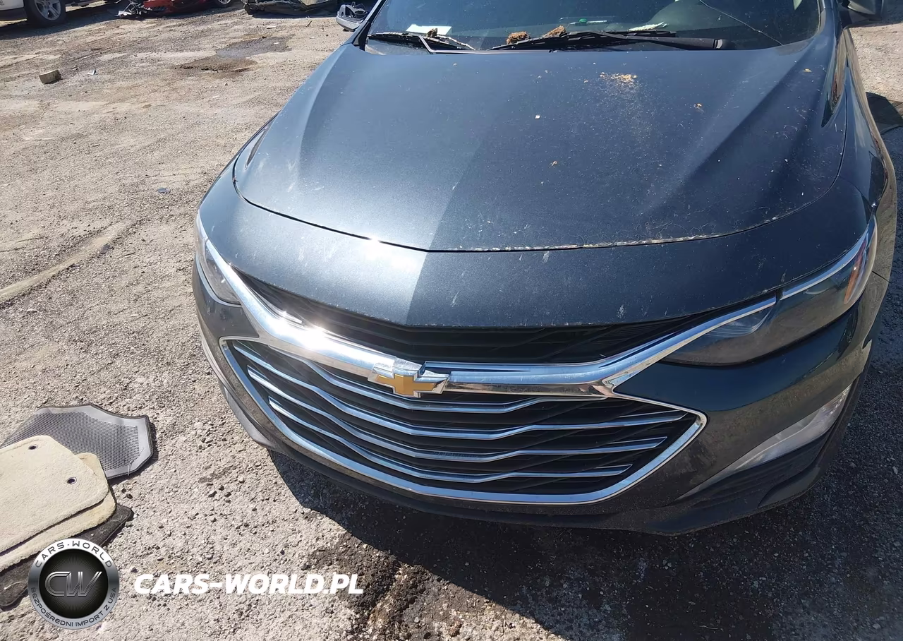 2019 Chevrolet Malibu Lt VIN:1G1ZD5ST4KF149326 - 11