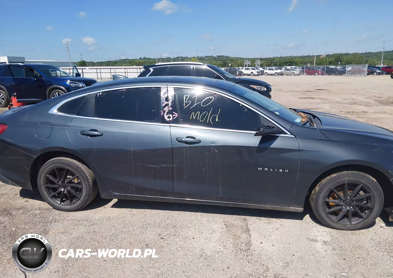 2019 Chevrolet Malibu Lt VIN:1G1ZD5ST4KF149326 - 12