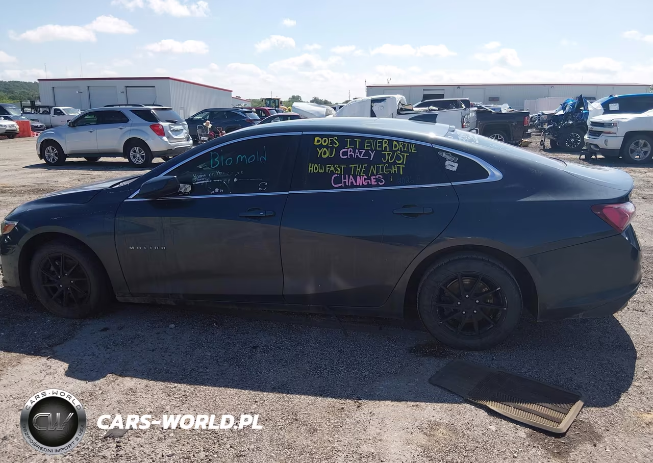 2019 Chevrolet Malibu Lt VIN:1G1ZD5ST4KF149326 - 13