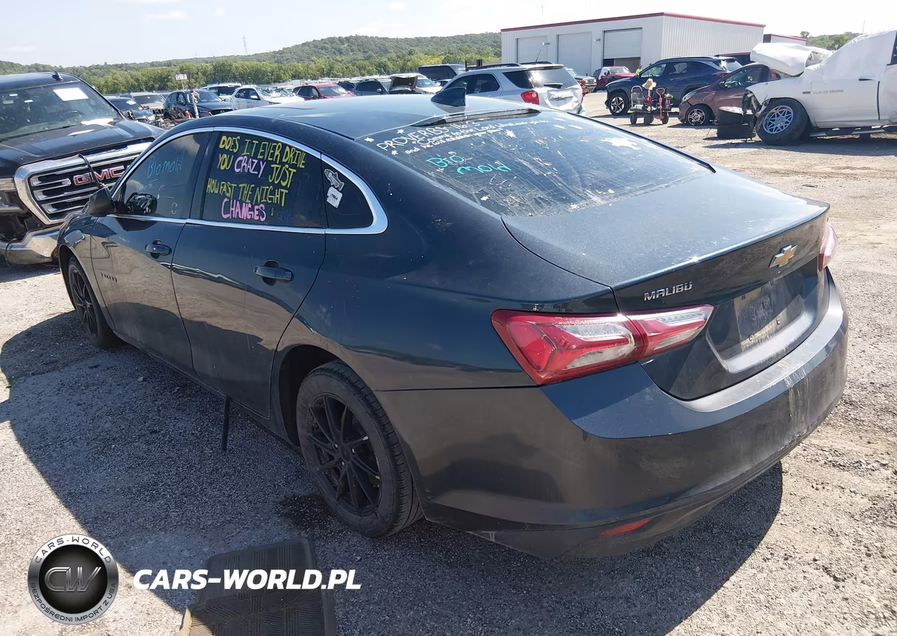 2019 Chevrolet Malibu Lt VIN:1G1ZD5ST4KF149326 - 3