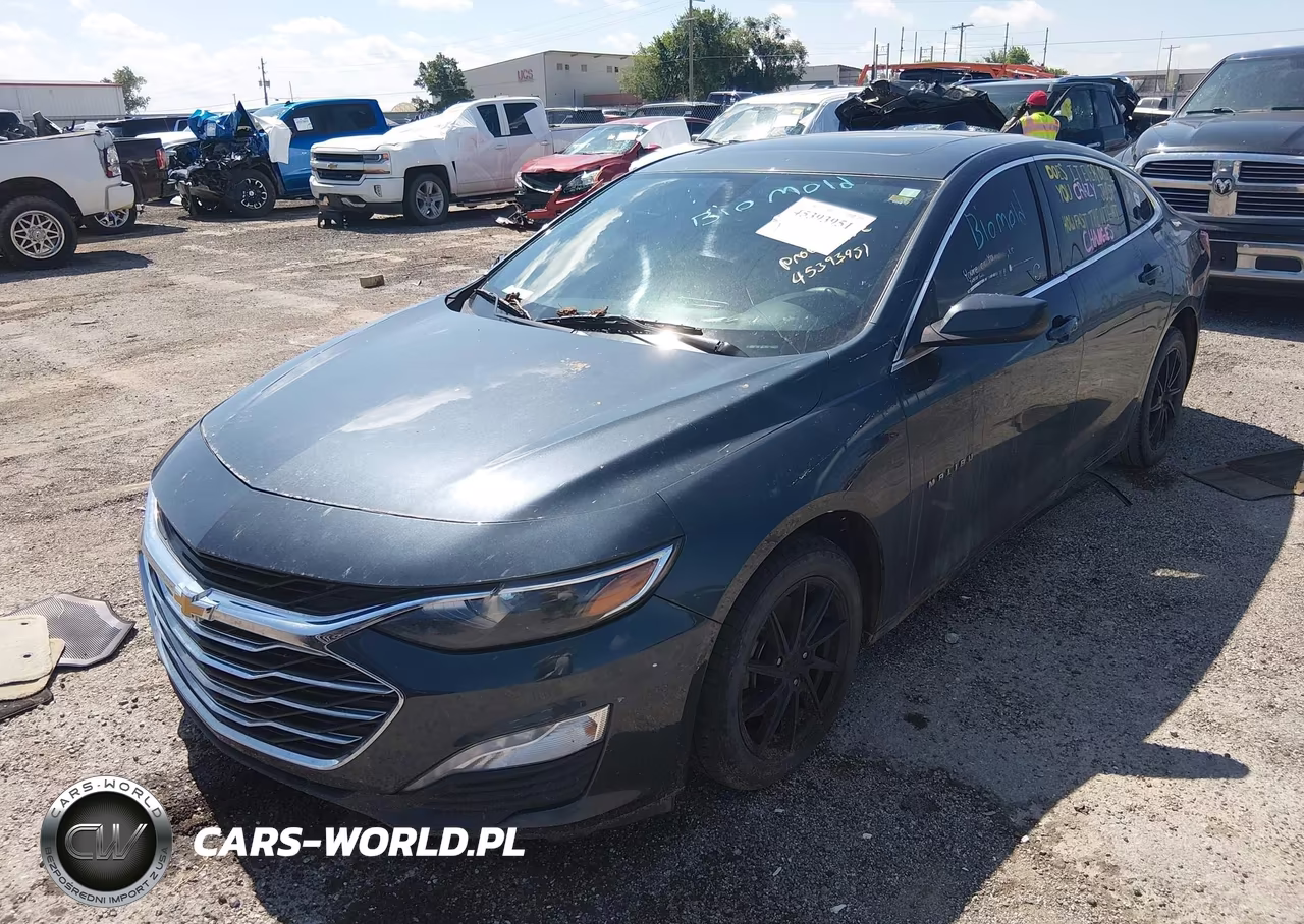 2019 Chevrolet Malibu Lt VIN:1G1ZD5ST4KF149326 - 6