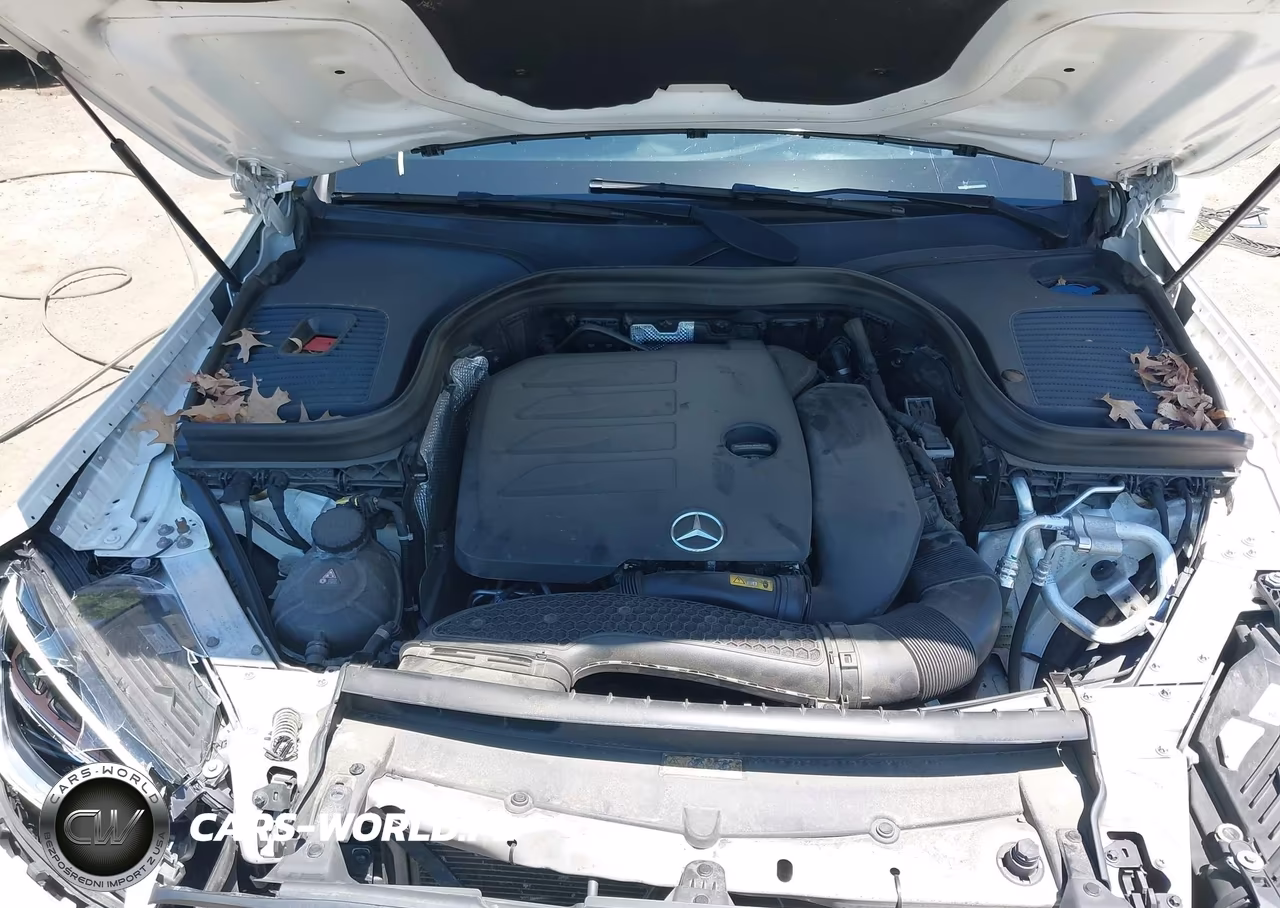 2022 Mercedes-Benz Glc 300 4Matic Coupe VIN:W1N0J8EB3NG020000 - 10