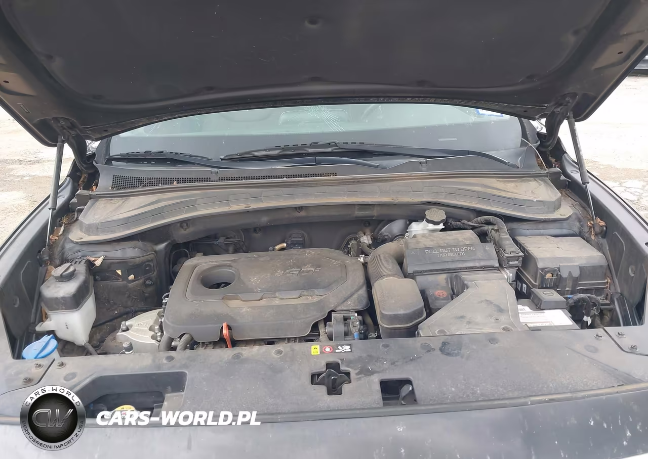 2020 Hyundai Santa Fe Sel VIN:5NMS33AD4LH164729 - 10