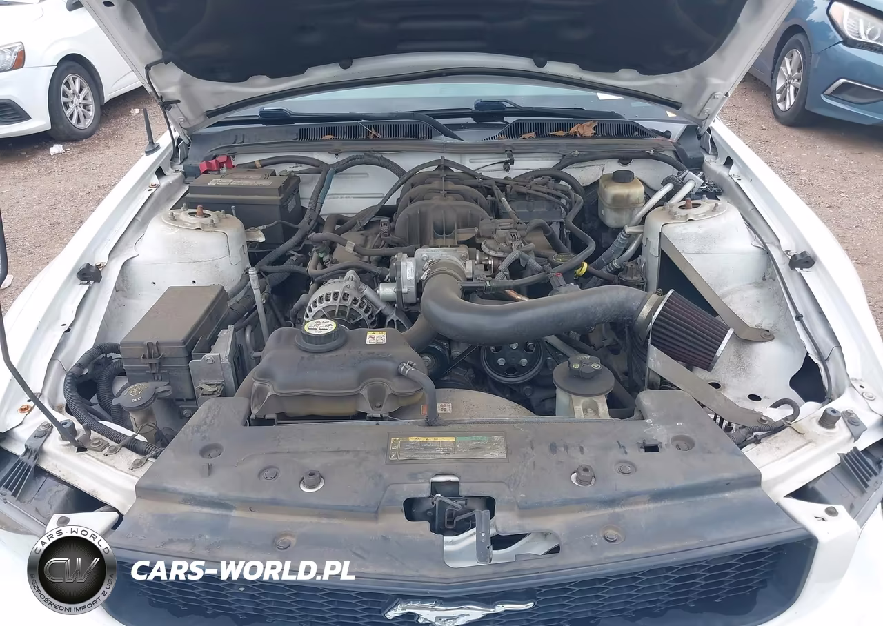 2007 Ford Mustang V6 Deluxe-V6 Premium VIN:1ZVFT84N175295996 - 10