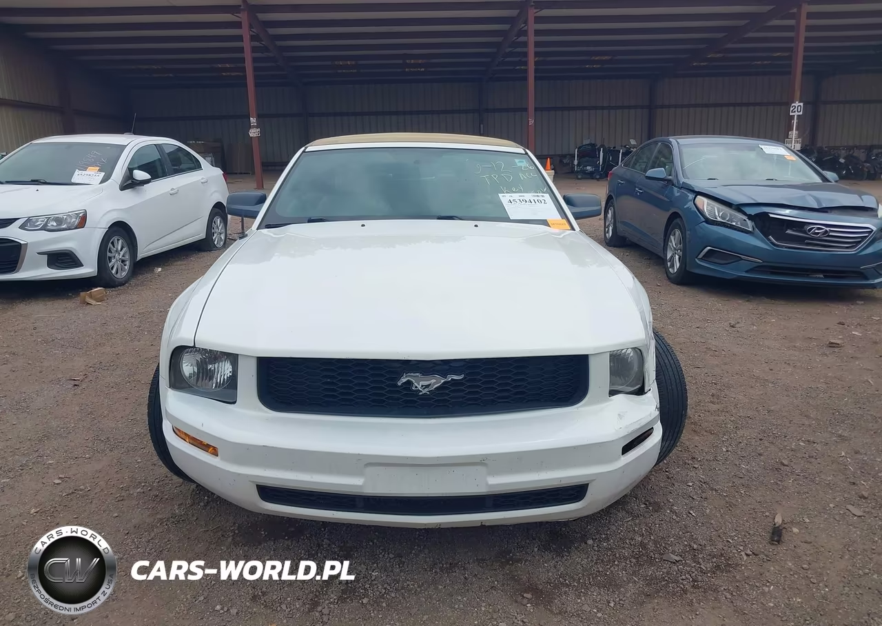 2007 Ford Mustang V6 Deluxe-V6 Premium VIN:1ZVFT84N175295996 - 13