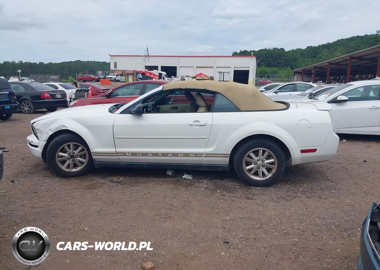 2007 Ford Mustang V6 Deluxe-V6 Premium VIN:1ZVFT84N175295996 - 15