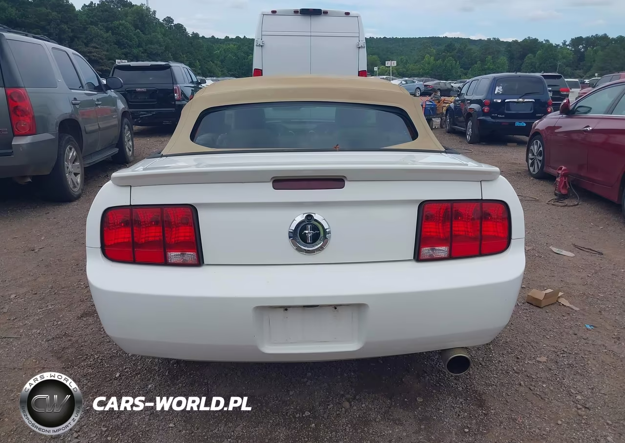 2007 Ford Mustang V6 Deluxe-V6 Premium VIN:1ZVFT84N175295996 - 17