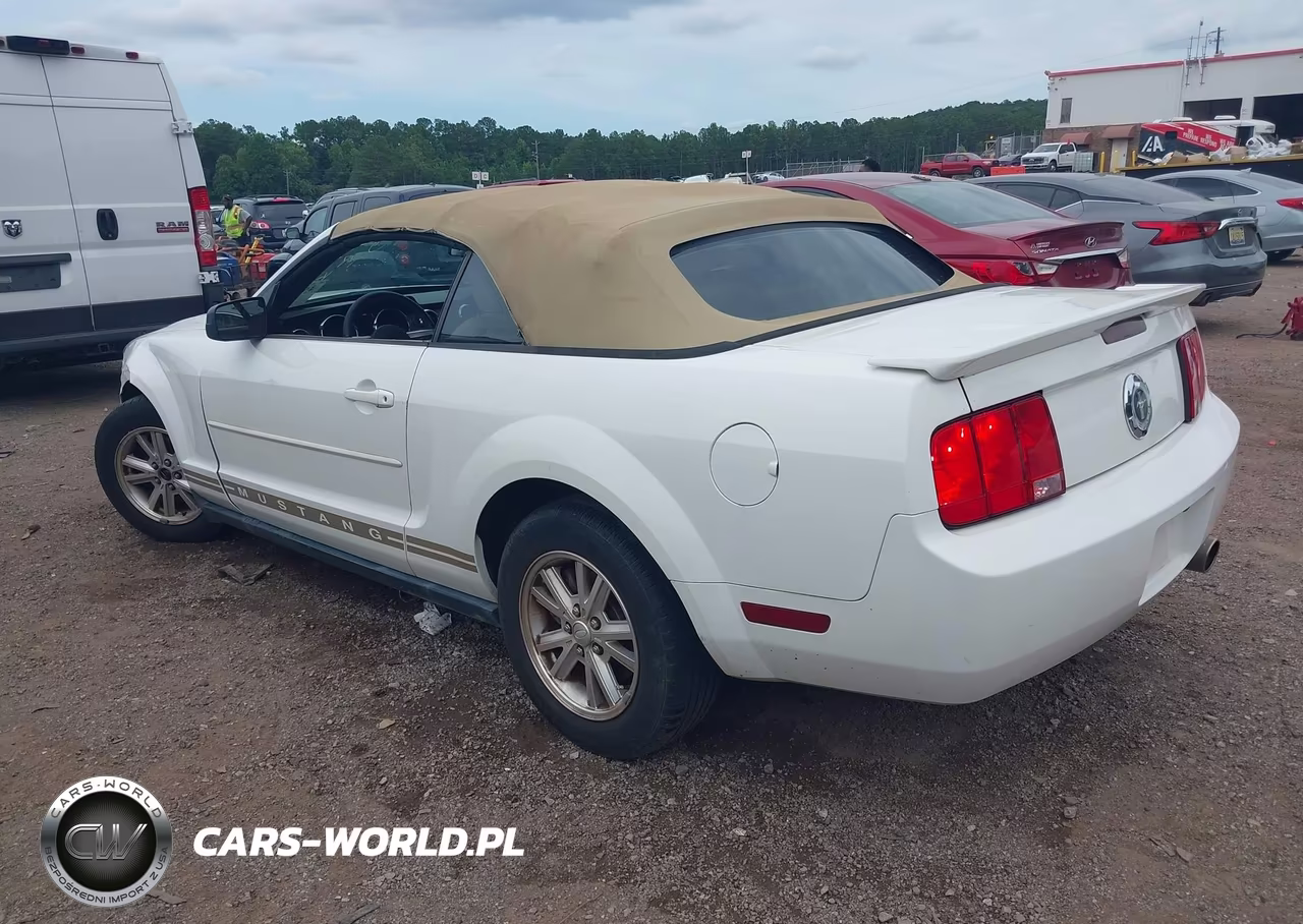 2007 Ford Mustang V6 Deluxe-V6 Premium VIN:1ZVFT84N175295996 - 3