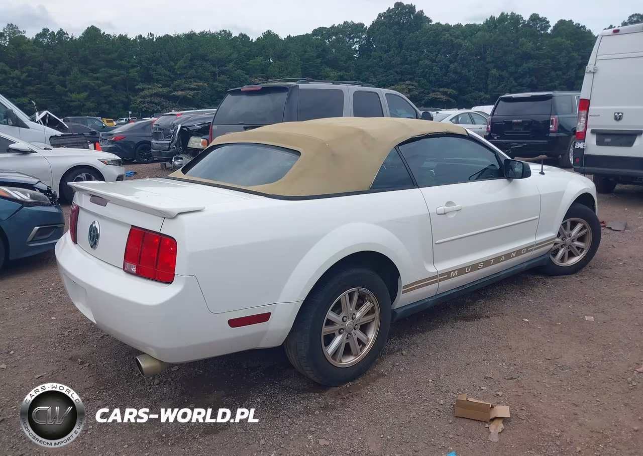 2007 Ford Mustang V6 Deluxe-V6 Premium VIN:1ZVFT84N175295996 - 4