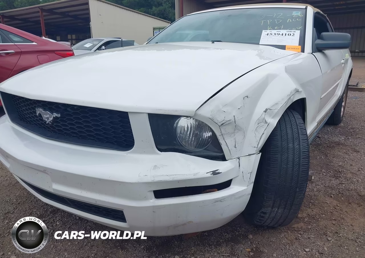 2007 Ford Mustang V6 Deluxe-V6 Premium VIN:1ZVFT84N175295996 - 6