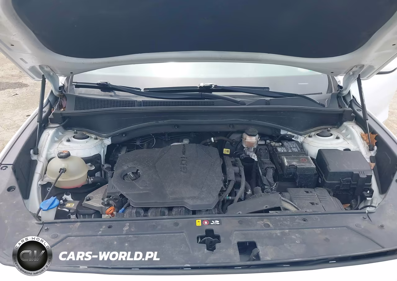 2021 Hyundai Santa Fe Sel VIN:5NMS2DAJ1MH347991 - 10