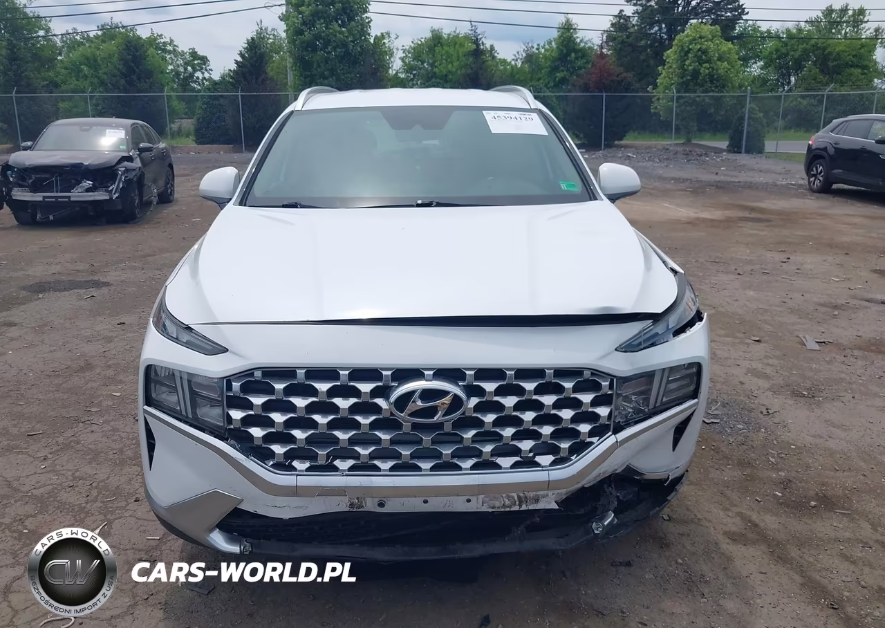 2021 Hyundai Santa Fe Sel VIN:5NMS2DAJ1MH347991 - 12