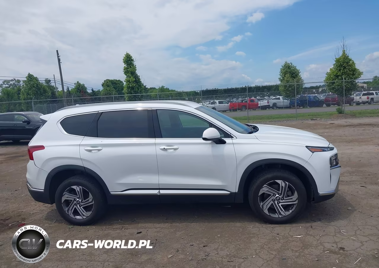 2021 Hyundai Santa Fe Sel VIN:5NMS2DAJ1MH347991 - 13