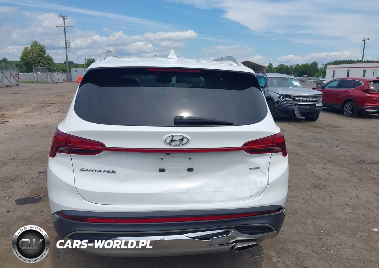 2021 Hyundai Santa Fe Sel VIN:5NMS2DAJ1MH347991 - 16