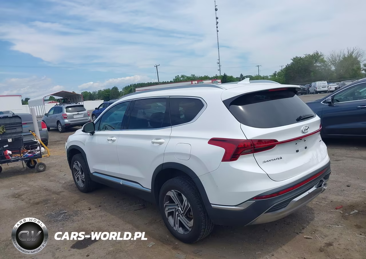 2021 Hyundai Santa Fe Sel VIN:5NMS2DAJ1MH347991 - 3