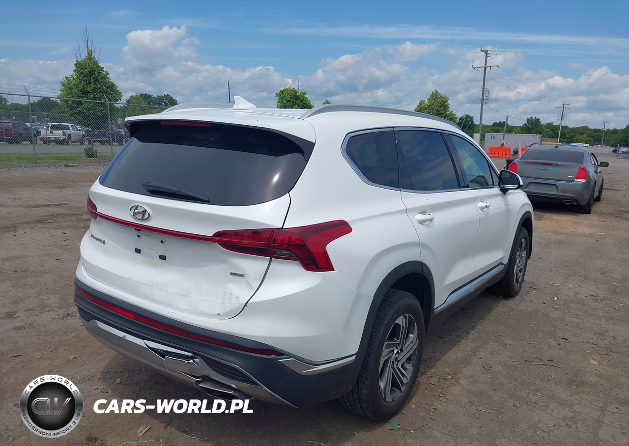 2021 Hyundai Santa Fe Sel VIN:5NMS2DAJ1MH347991 - 4