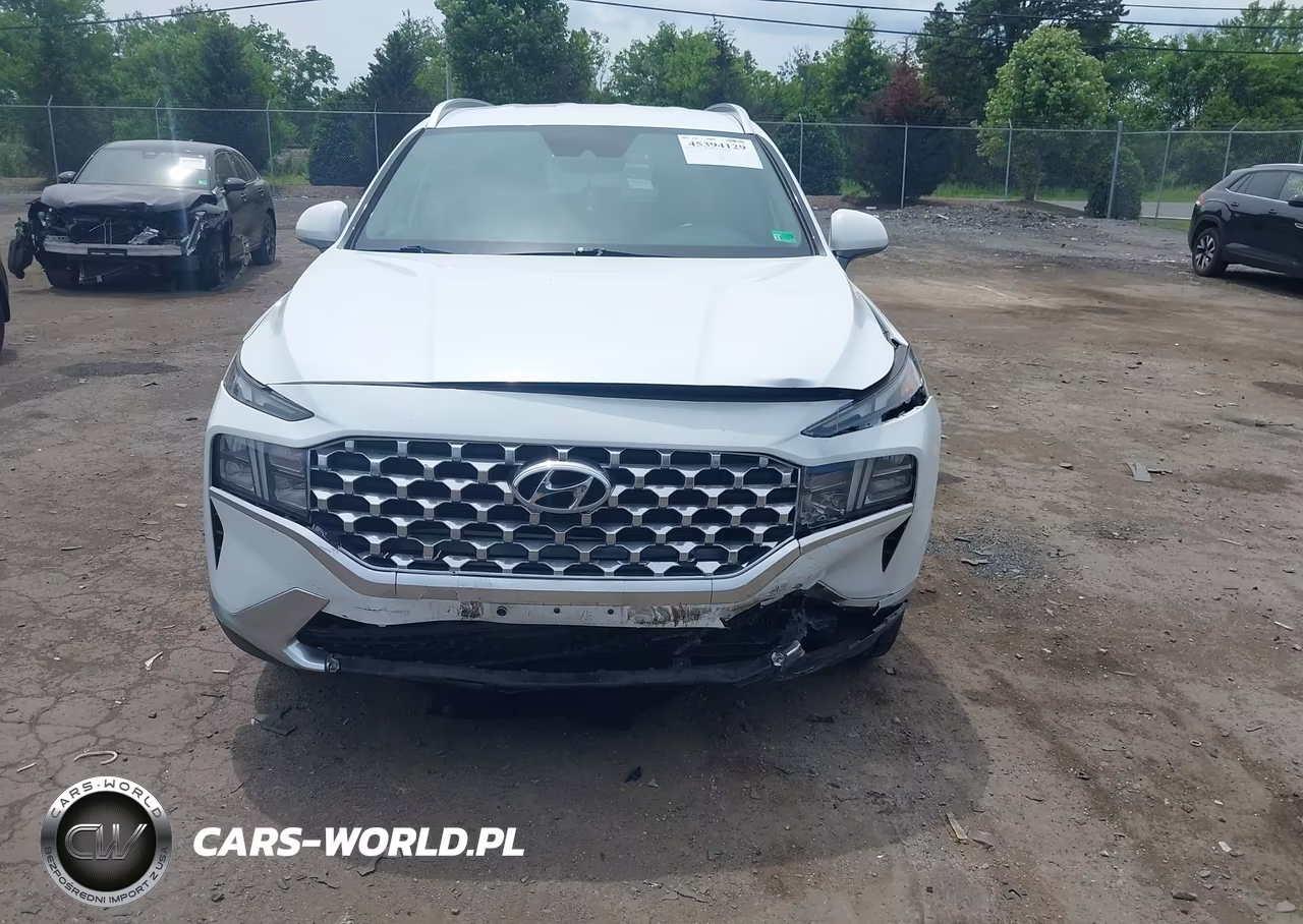 2021 Hyundai Santa Fe Sel VIN:5NMS2DAJ1MH347991 - 6