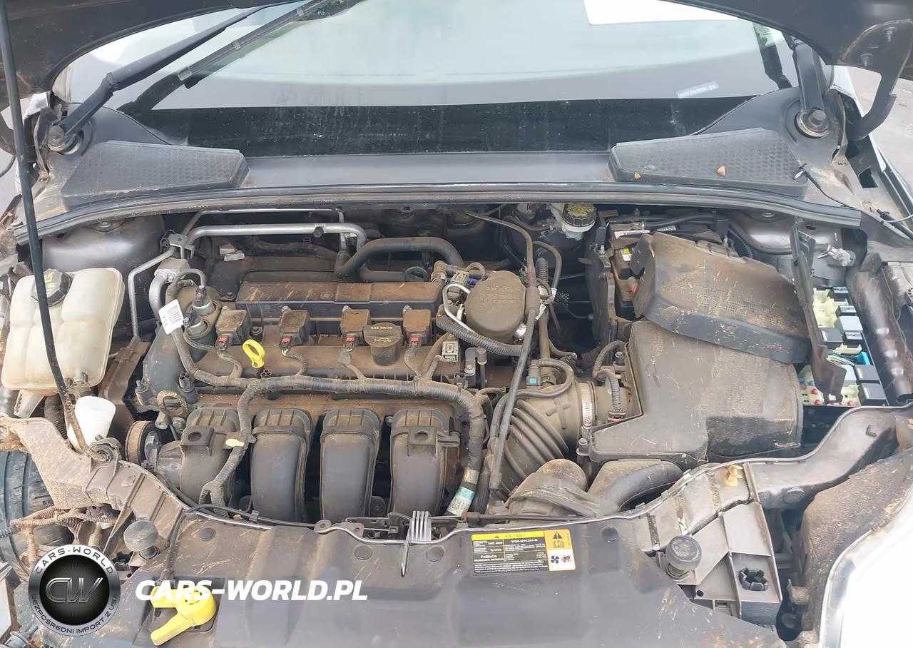 2014 Ford Focus Se VIN:1FADP3F25EL159566 - 10