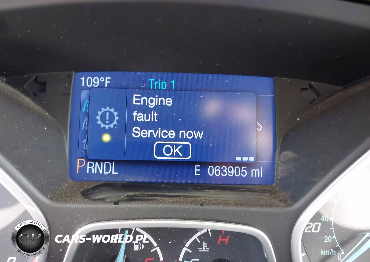 2014 Ford Focus Se VIN:1FADP3F25EL159566 - 15