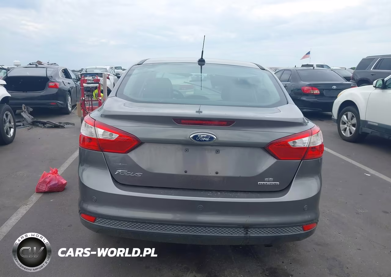 2014 Ford Focus Se VIN:1FADP3F25EL159566 - 16