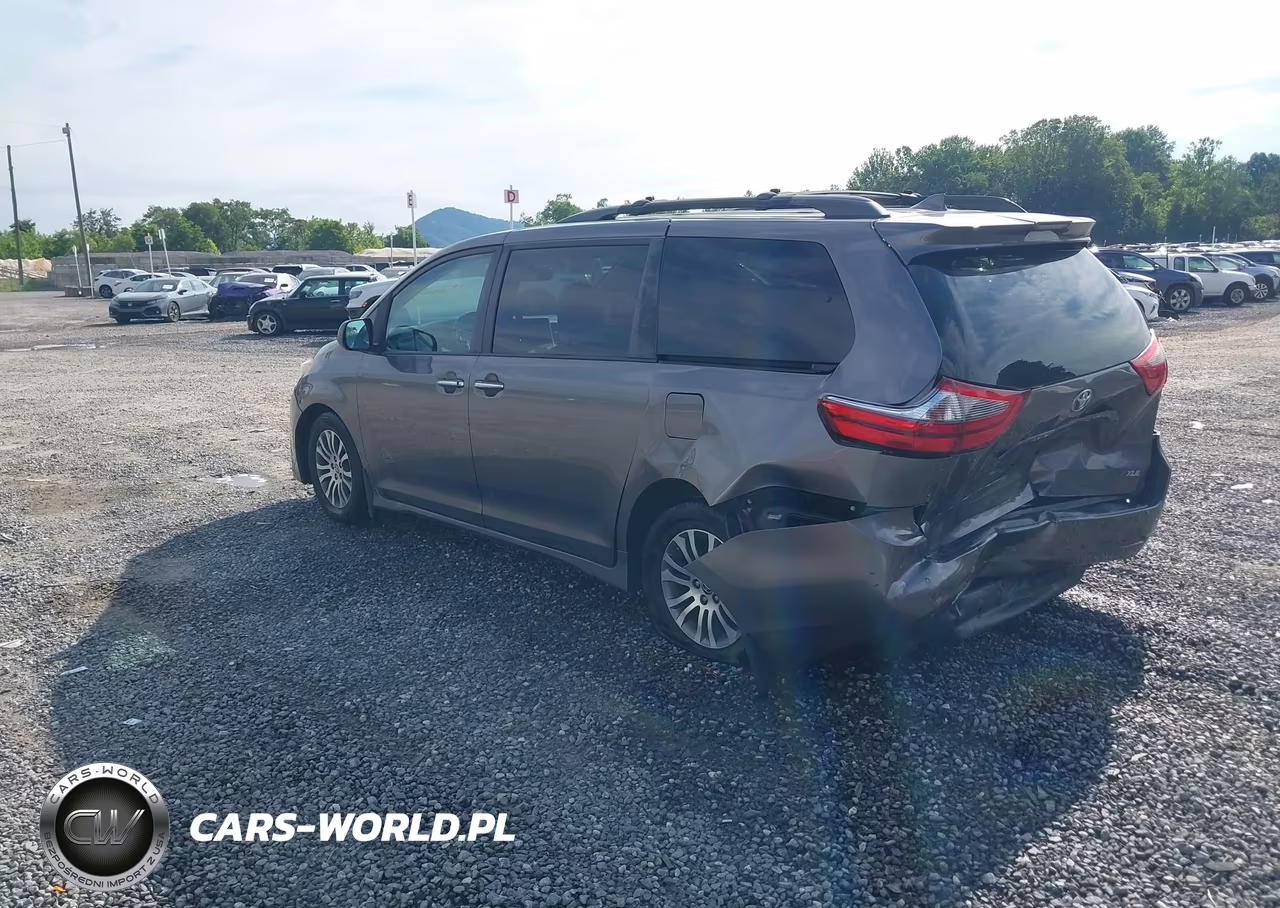 2020 Toyota Sienna Xle VIN:5TDYZ3DC6LS057626 - 3