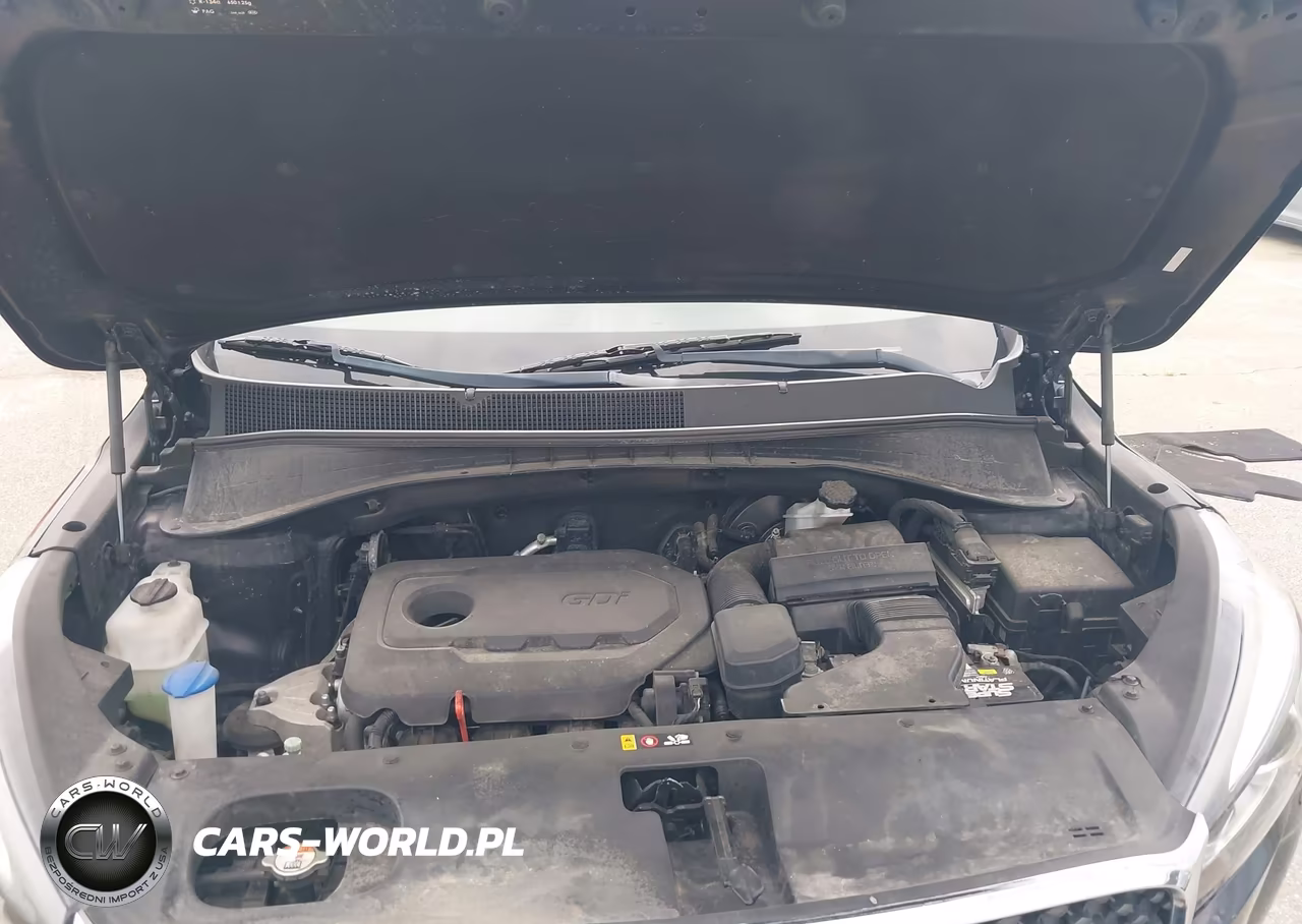 2016 Kia Sorento 2.4L L VIN:5XYPG4A37GG146278 - 10