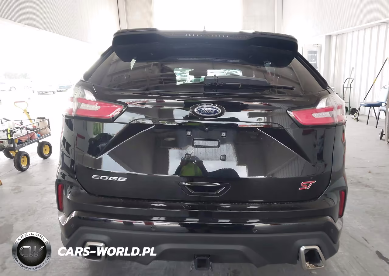 2019 Ford Edge St VIN:2FMPK4AP6KBB69156 - 16