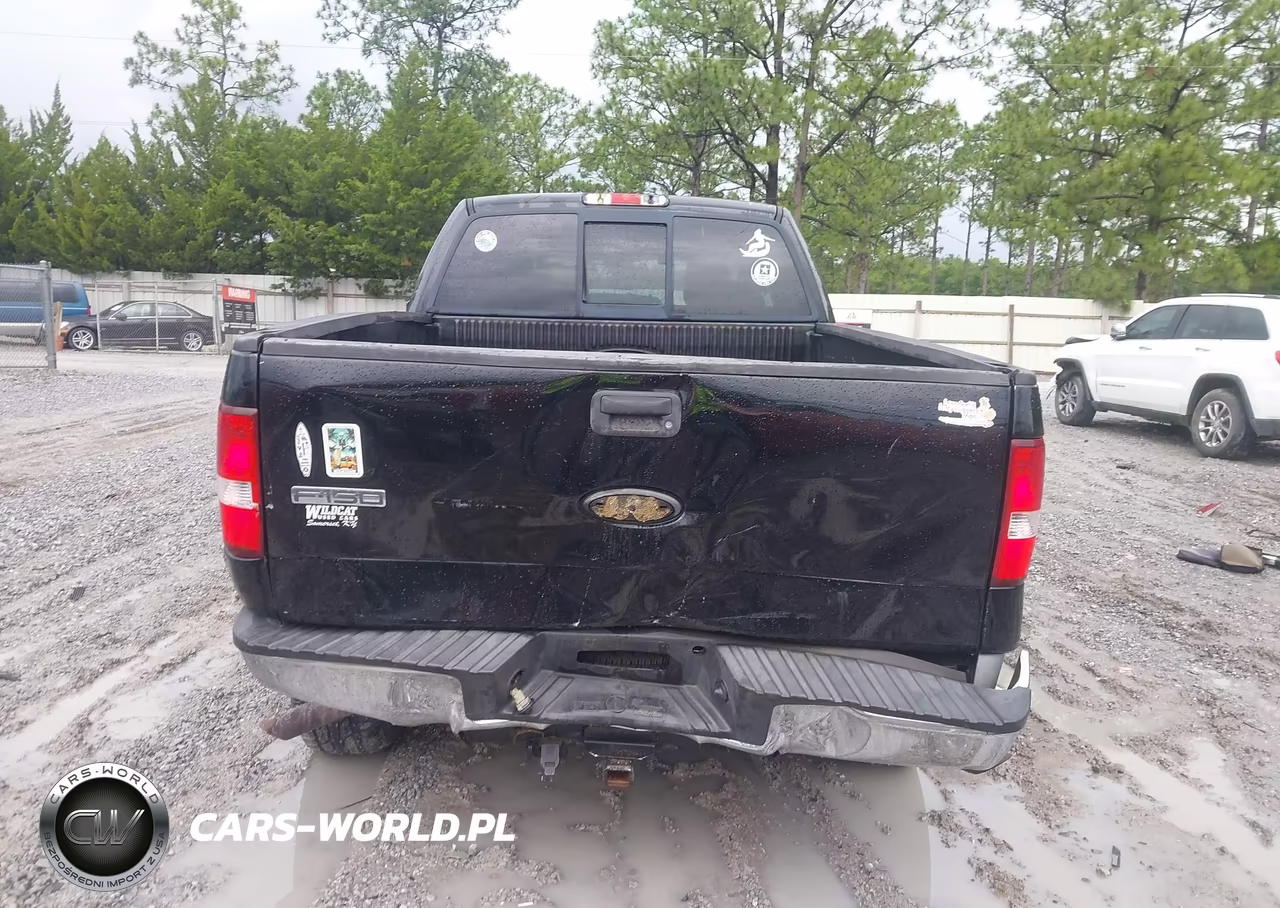 2006 Ford F-150 Fx4-Lariat-Xl-Xlt VIN:1FTPX14526NB03860 - 6