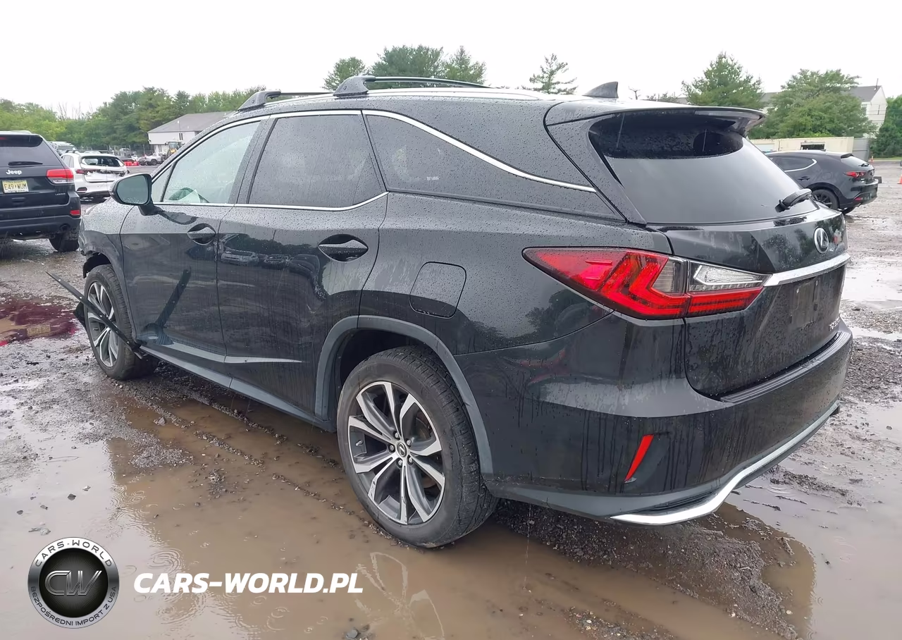 2019 Lexus Rx 350L Premium VIN:JTJDZKCA6K2019454 - 3