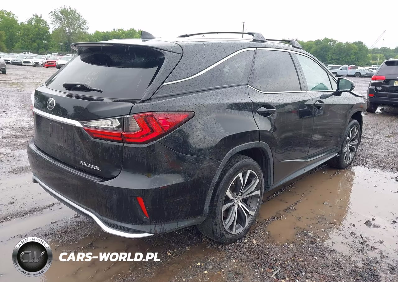 2019 Lexus Rx 350L Premium VIN:JTJDZKCA6K2019454 - 4