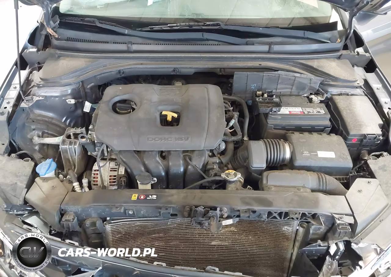 2019 Hyundai Elantra Sel VIN:5NPD84LF4KH432016 - 10