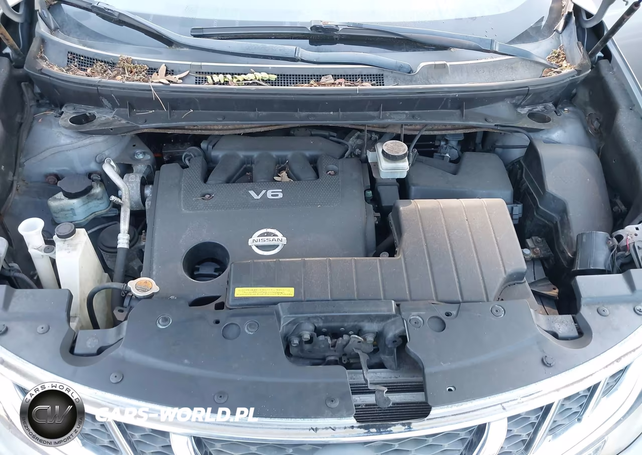 2012 Nissan Murano Le VIN:JN8AZ1MW6CW212468 - 10