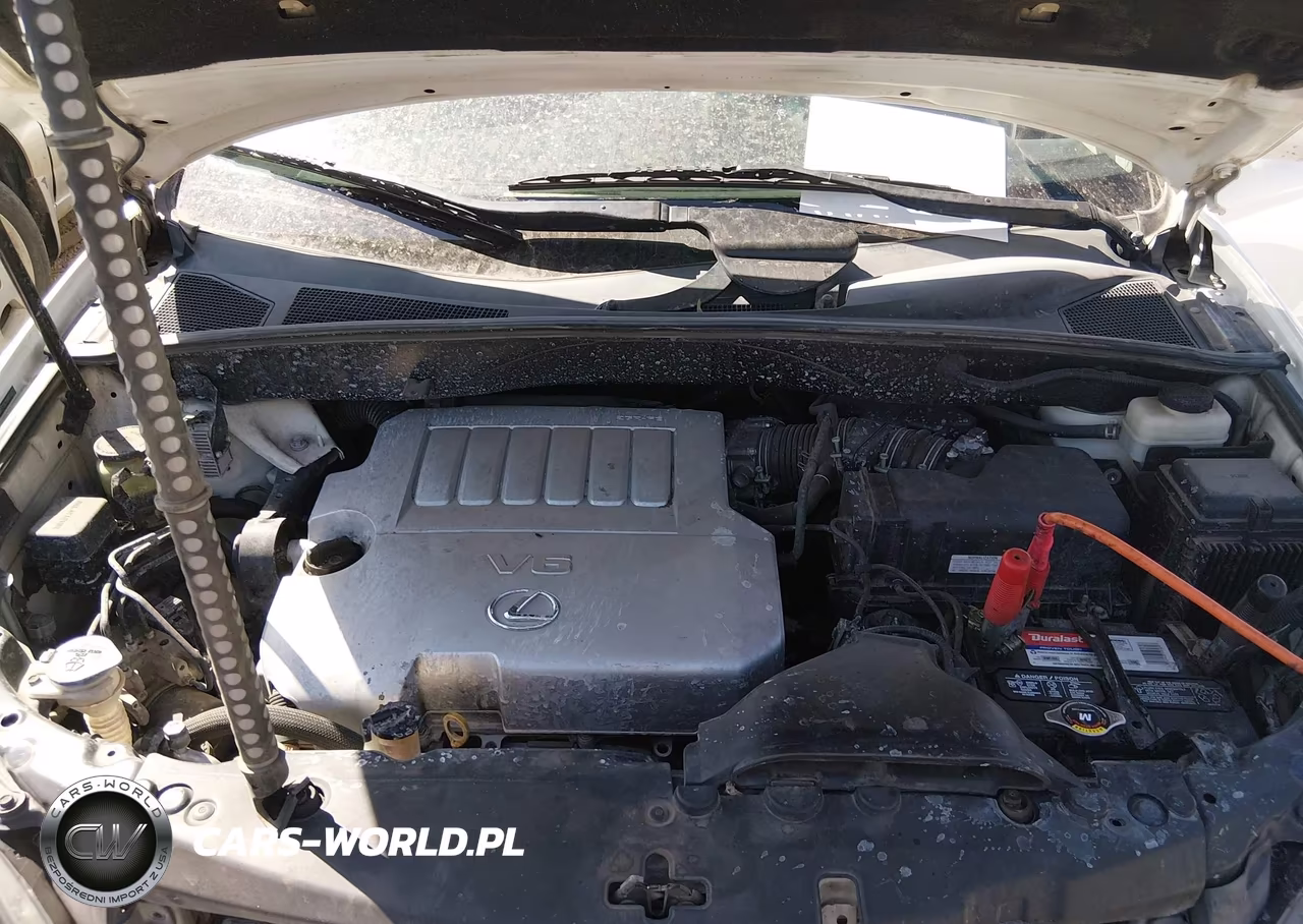2009 Lexus Rx 350 VIN:2T2GK31U89C069335 - 10