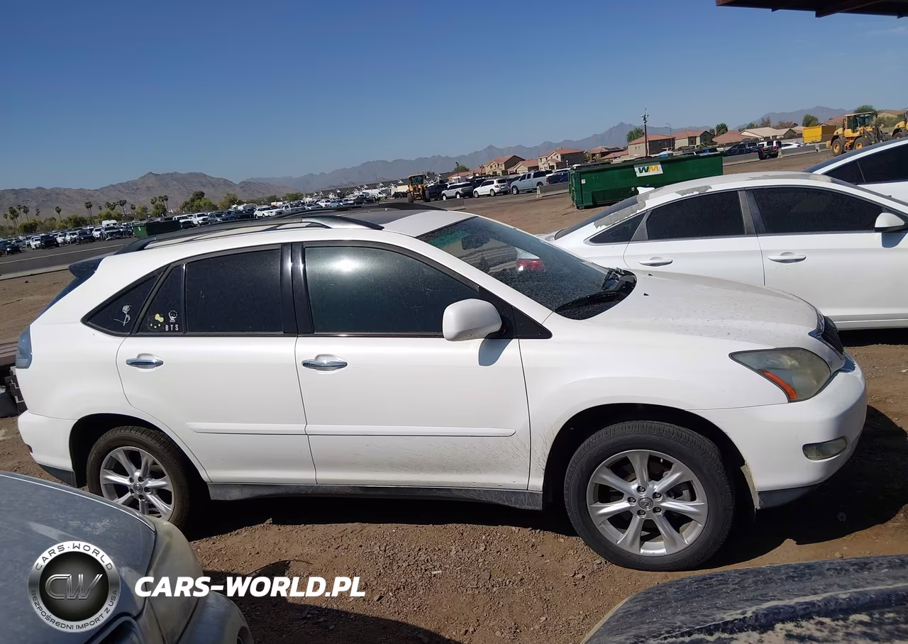 2009 Lexus Rx 350 VIN:2T2GK31U89C069335 - 13
