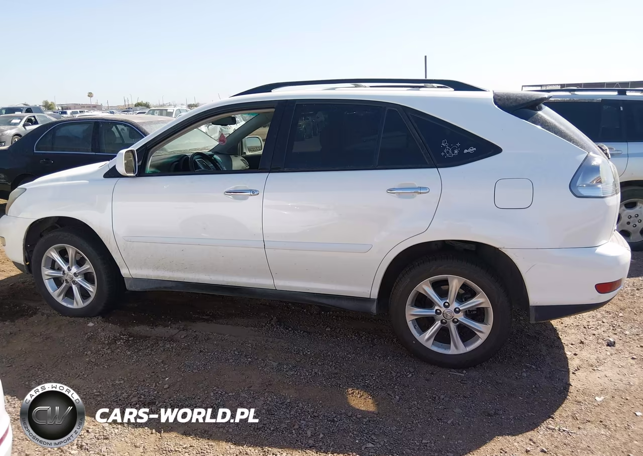 2009 Lexus Rx 350 VIN:2T2GK31U89C069335 - 14