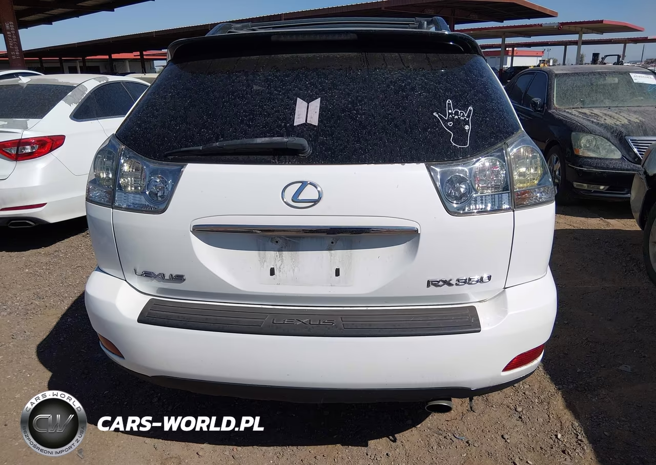 2009 Lexus Rx 350 VIN:2T2GK31U89C069335 - 16