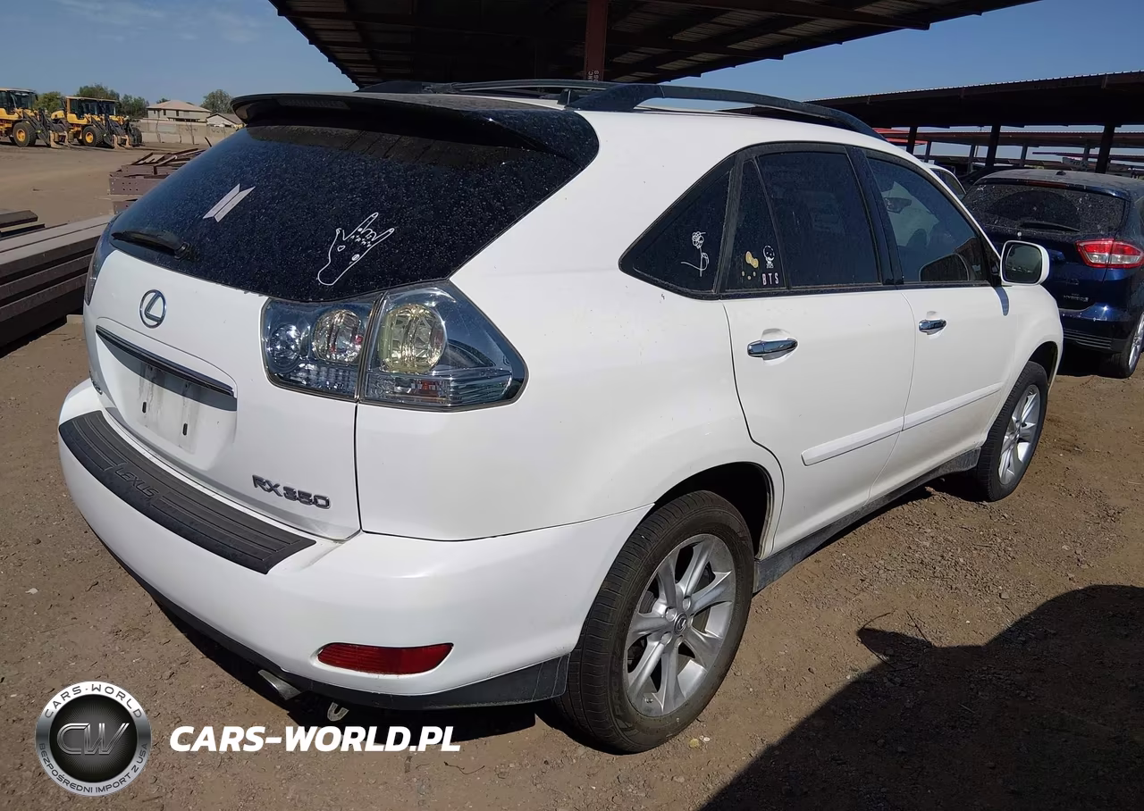 2009 Lexus Rx 350 VIN:2T2GK31U89C069335 - 4