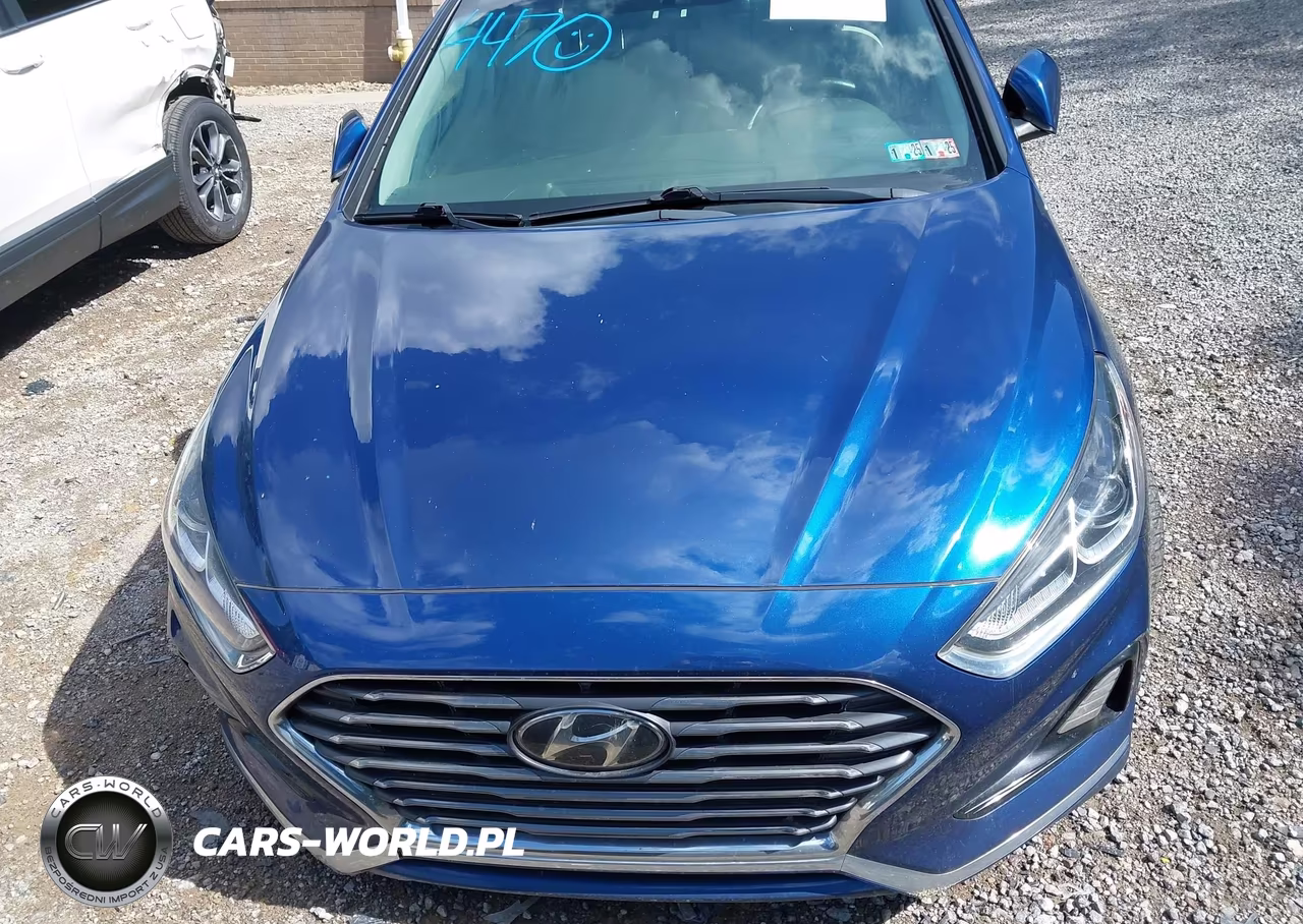 2019 Hyundai Sonata Se VIN:5NPE24AF9KH747192 - 12