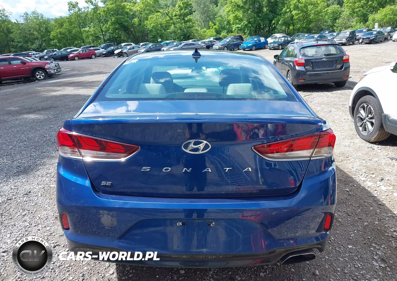 2019 Hyundai Sonata Se VIN:5NPE24AF9KH747192 - 16