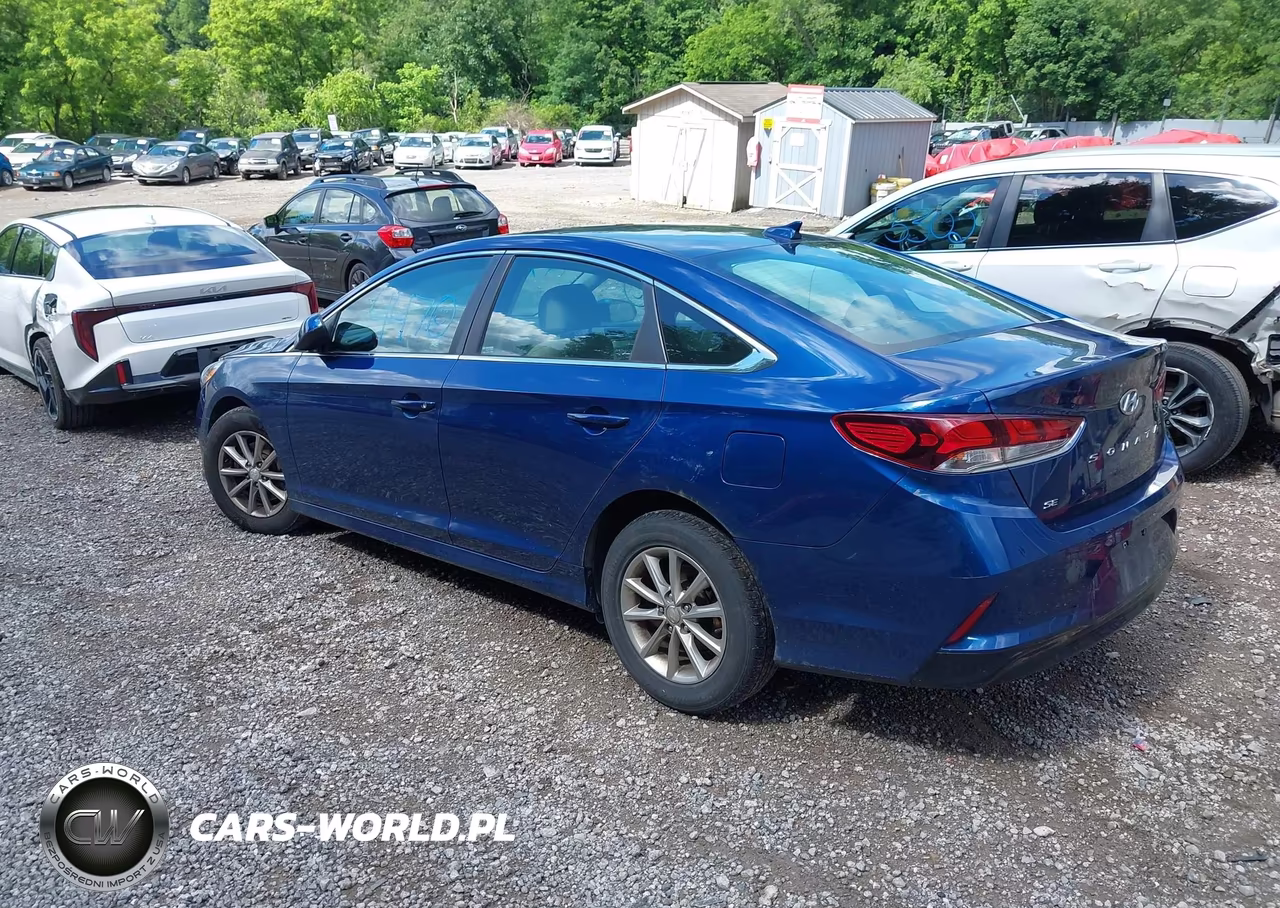 2019 Hyundai Sonata Se VIN:5NPE24AF9KH747192 - 3