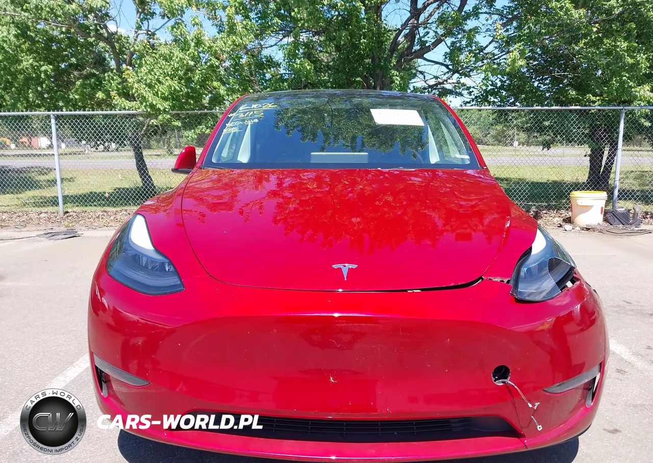 2024 Tesla Model Y Long Range Dual Motor All-Wheel Drive VIN:7SAYGDEE2RA263115 - 10