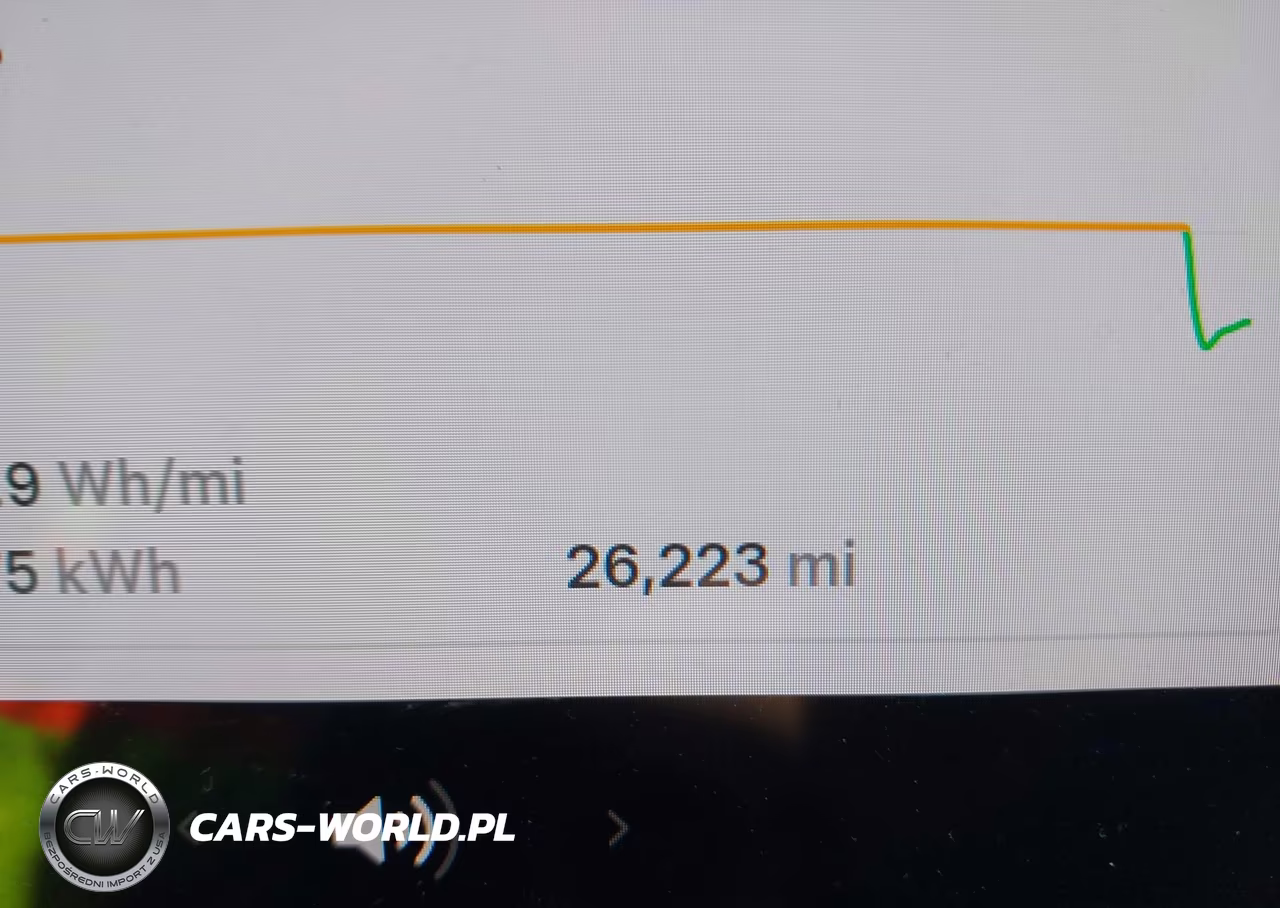 2024 Tesla Model Y Long Range Dual Motor All-Wheel Drive VIN:7SAYGDEE2RA263115 - 13